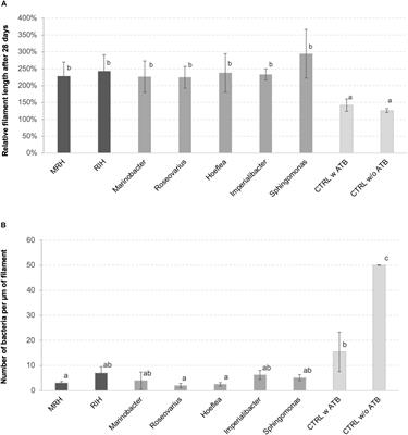 Metabolic Complementarity Between a Brown Alga and Associated Cultivable Bacteria Provide Indications of Beneficial Interactions